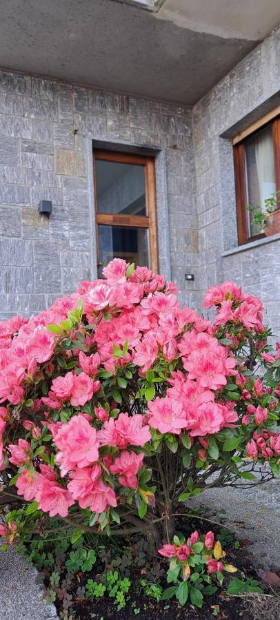 Villa La Serra Baveno Luaran gambar